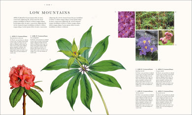 Atlas of Botany US - Hardback