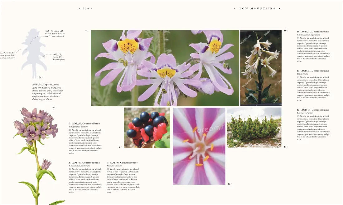Atlas of Botany US - Hardback