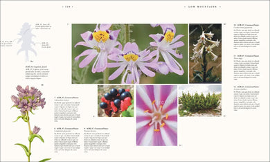 Atlas of Botany US - Hardback