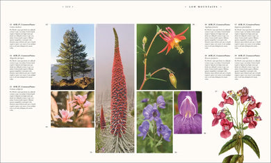Atlas of Botany US - Hardback