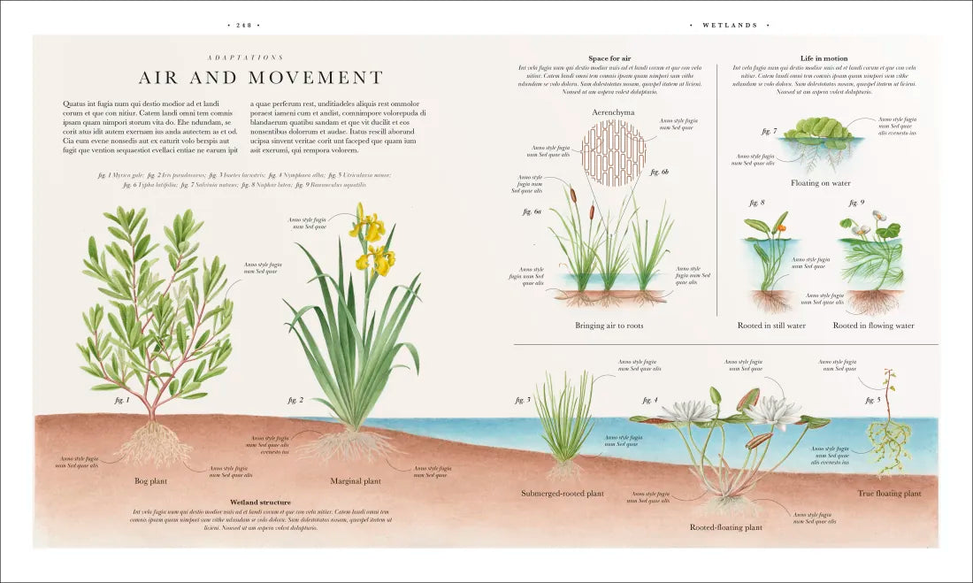 Atlas of Botany US - Hardback