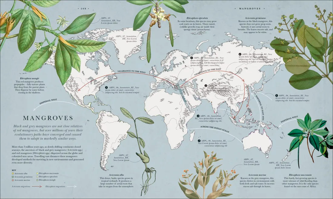 Atlas of Botany US - Hardback