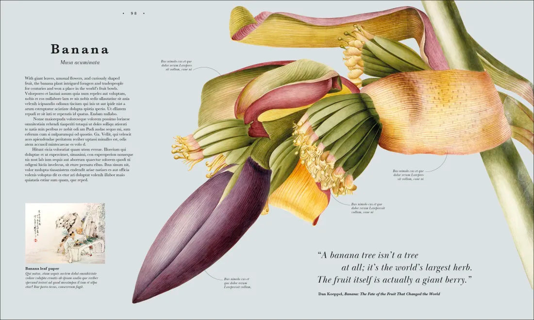 Atlas of Botany US - Hardback