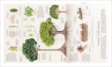 Atlas of Botany US - Hardback