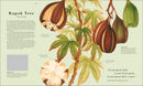 Atlas of Botany US - Hardback