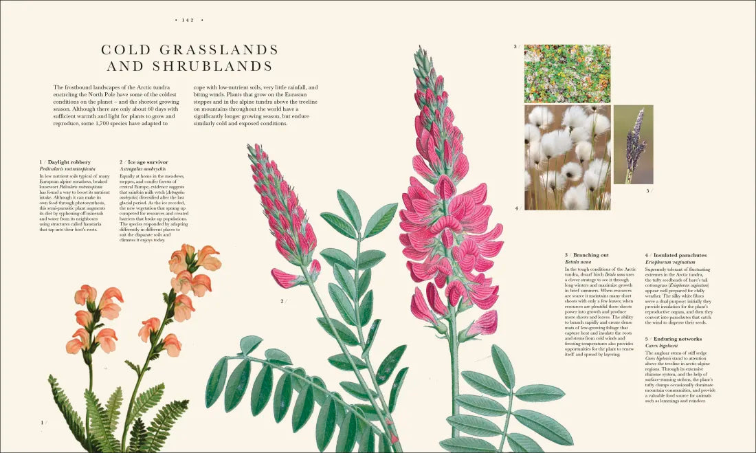 Atlas of Botany US - Hardback