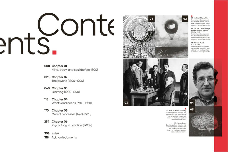 Psych. US - Hardback