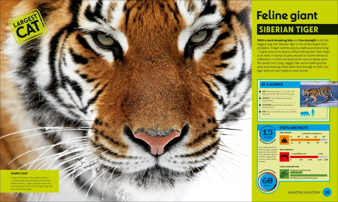 Super Nature Encyclopedia US - Hardback