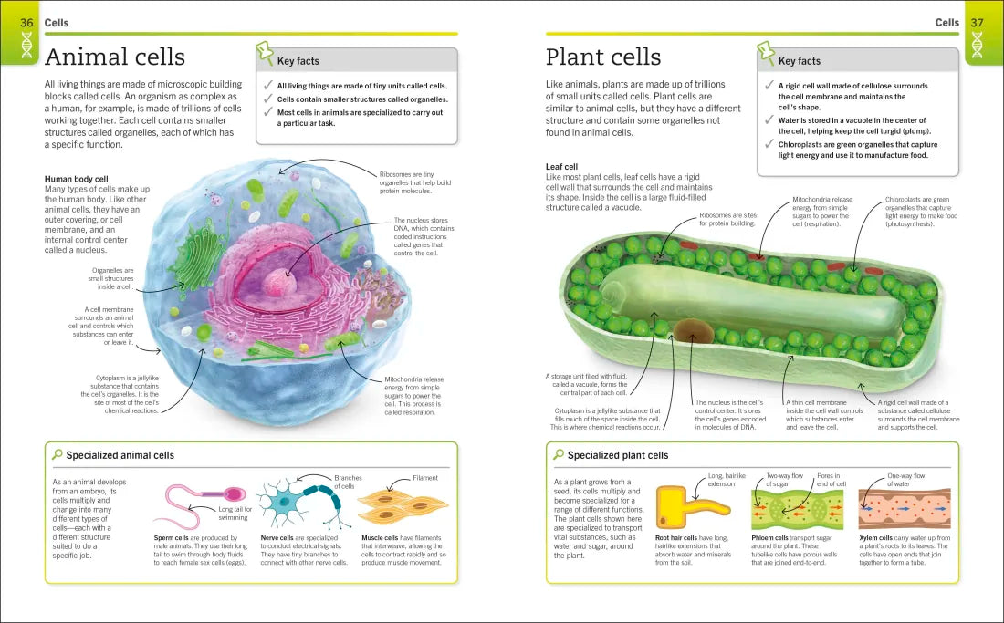 Super Simple Science US - Multiple-component retail product, boxed