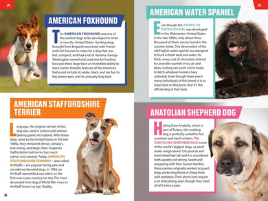 TIME for Kids: Good Dogs! US - Paperback / softback