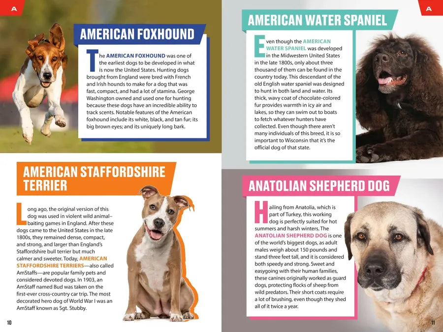 TIME for Kids: Good Dogs! US - Paperback / softback
