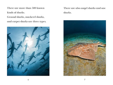 TIME for Kids: Sharks US - Paperback / softback