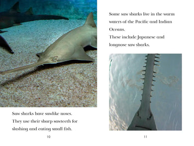 TIME for Kids: Sharks US - Paperback / softback