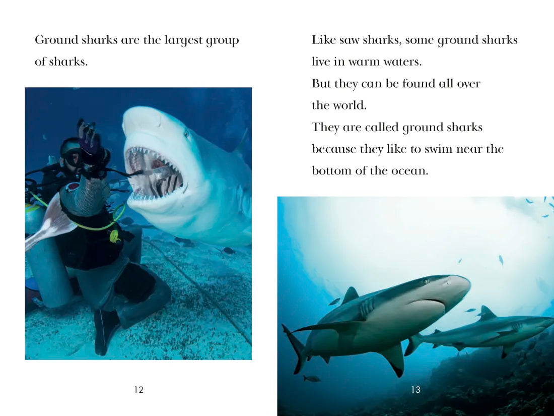 TIME for Kids: Sharks US - Paperback / softback