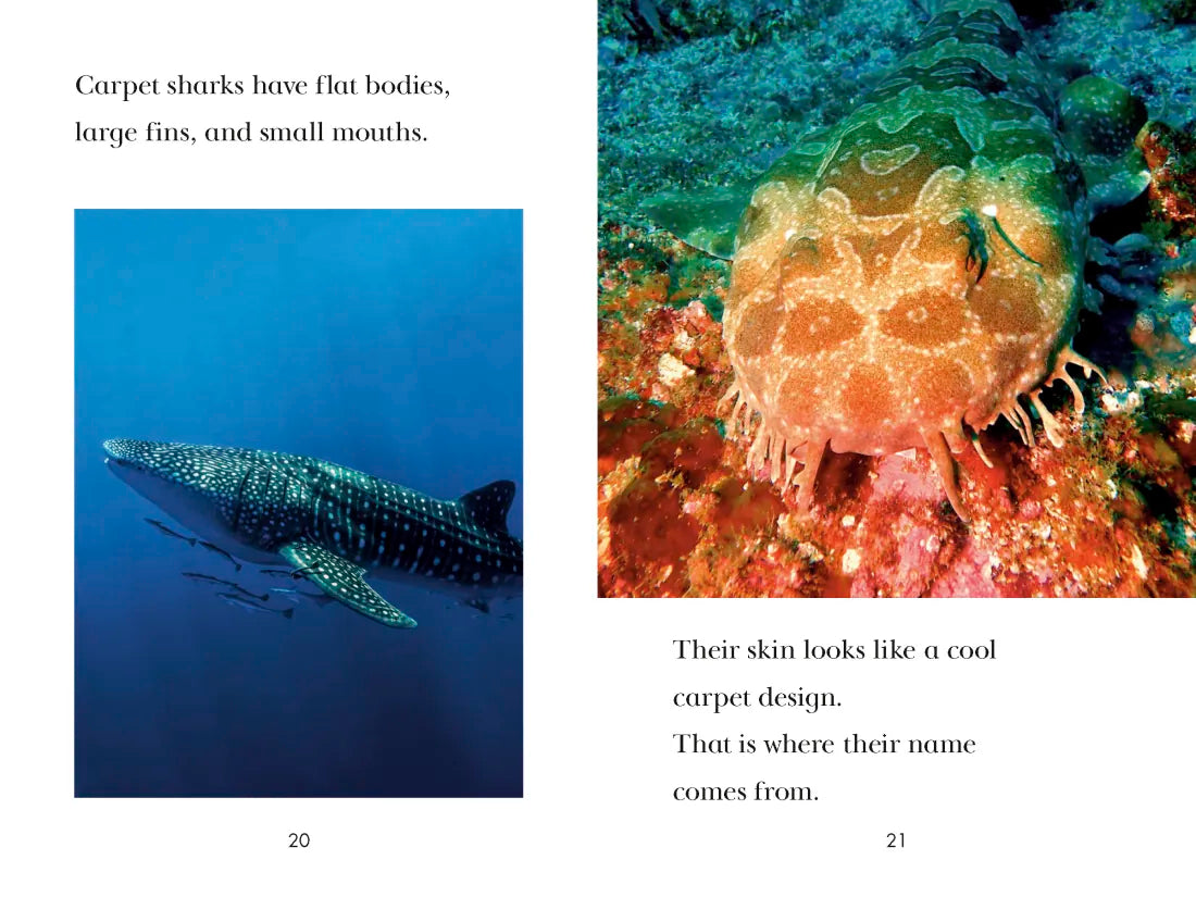 TIME for Kids: Sharks US - Paperback / softback