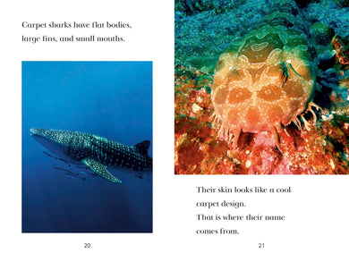 TIME for Kids: Sharks US - Paperback / softback