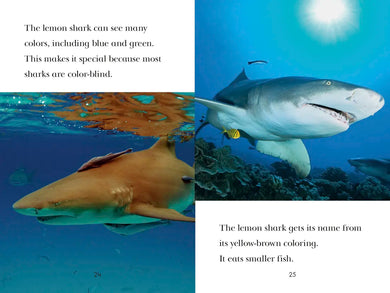 TIME for Kids: Sharks US - Paperback / softback