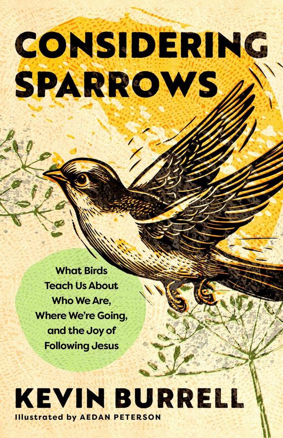 Considering Sparrows-Religion and beliefs-買書書 BuyBookBook