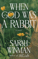 When God Was a Rabbit-Fiction: general and literary-買書書 BuyBookBook