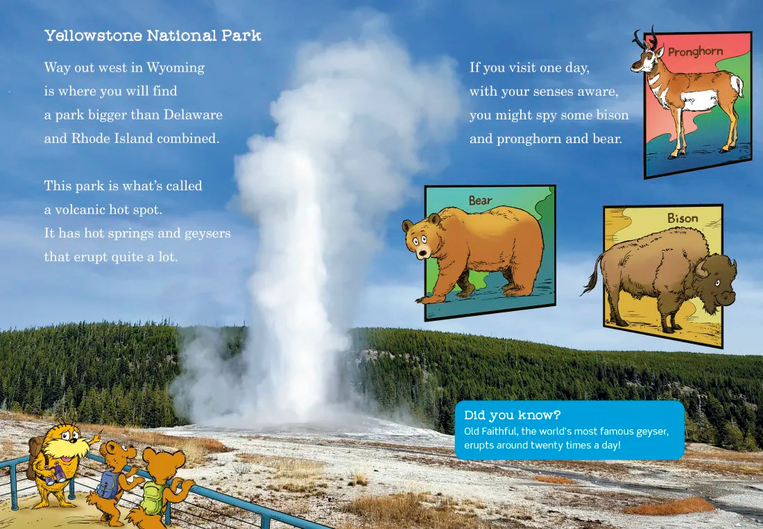 Explore the National Parks with Dr. Seuss's Lorax US - Hardback