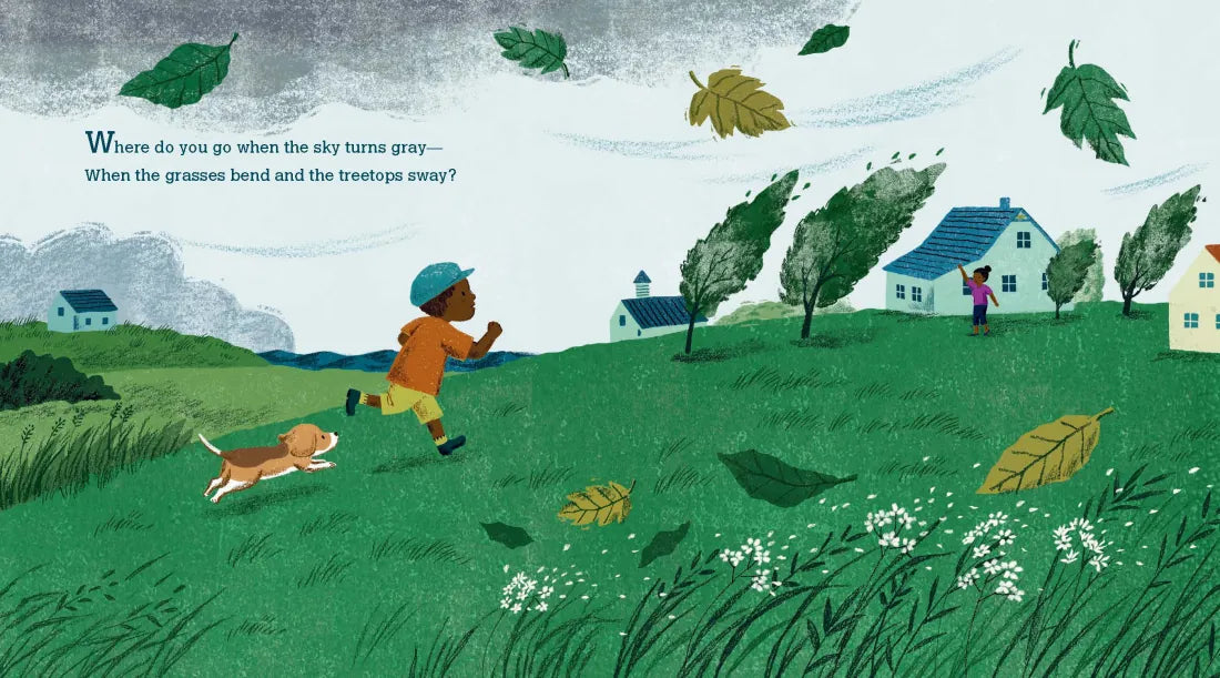 When the Storm Comes US - Hardback