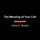 The Meaning of Your Life-Self-help/ personal development/ practical advice-買書書 BuyBookBook