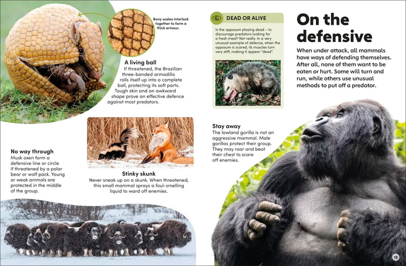 Eyewonder Mammals US - Hardback