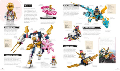 LEGO NINJAGO Visual Dictionary Updated Edition (Library Edition)