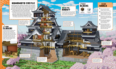 Minecraft Cross-Sections