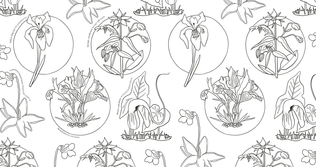 Wonderful Wildflowers Coloring Book US - Paperback / softback