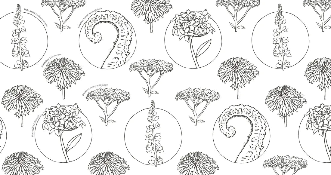Wonderful Wildflowers Coloring Book US - Paperback / softback