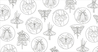 Extraordinary Insects Coloring Book US - Paperback / softback
