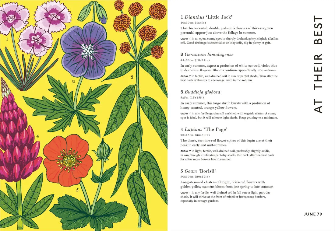 Your Gardening Year GB - Hardback