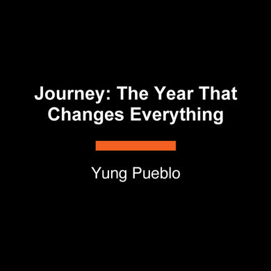Journey: The Year That Changes Everything