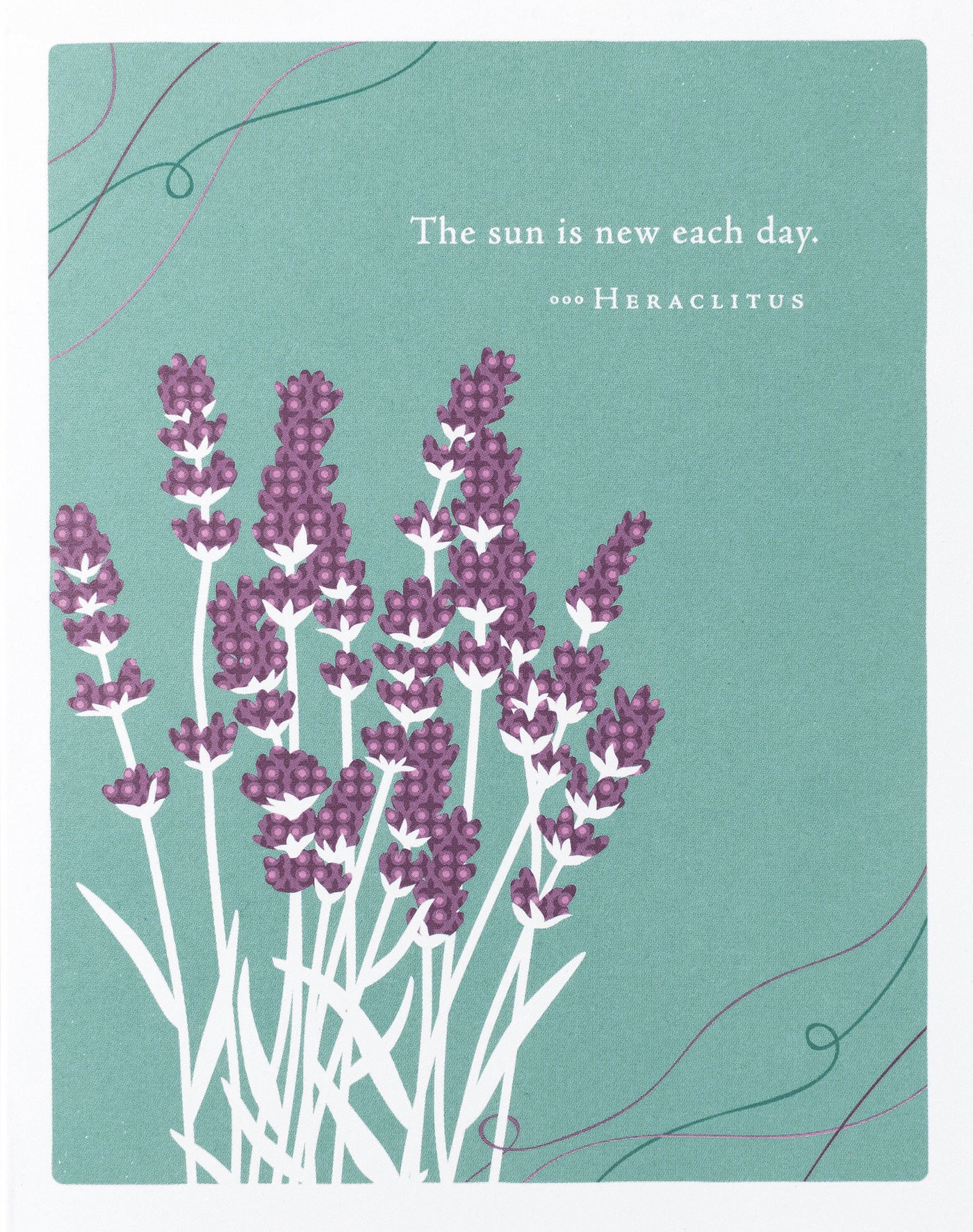 Positively Green Greeting Cards: Get Well - The sun is new each day (Pack of 6)