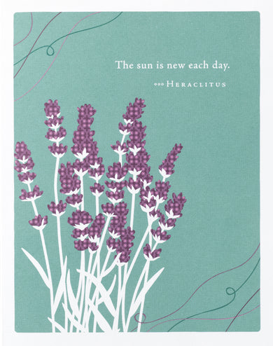 Positively Green Greeting Cards: Get Well - The sun is new each day (Pack of 6)