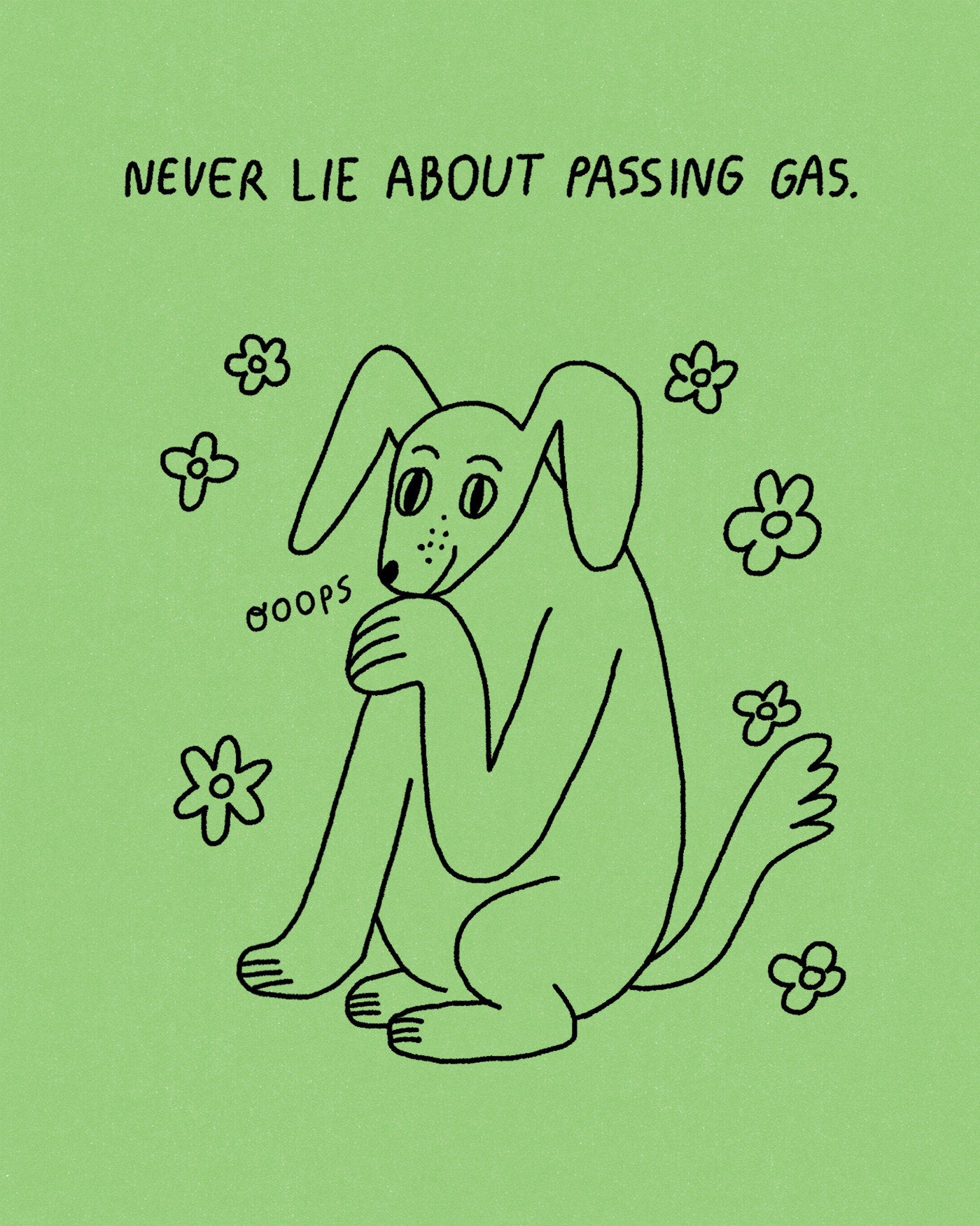 Humor Us Greeting Cards: Just For Laughs - Never lie about passing gas (Pack of 6)