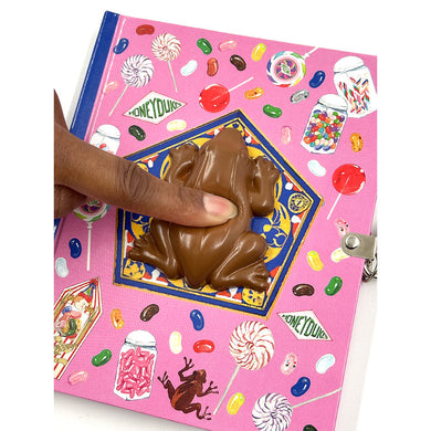 Harry Potter: Chocolate Frog Squishy Lock & Key Diary inside page 1