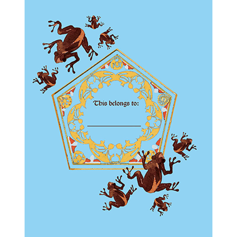Harry Potter: Chocolate Frog Squishy Lock & Key Diary inside page 2