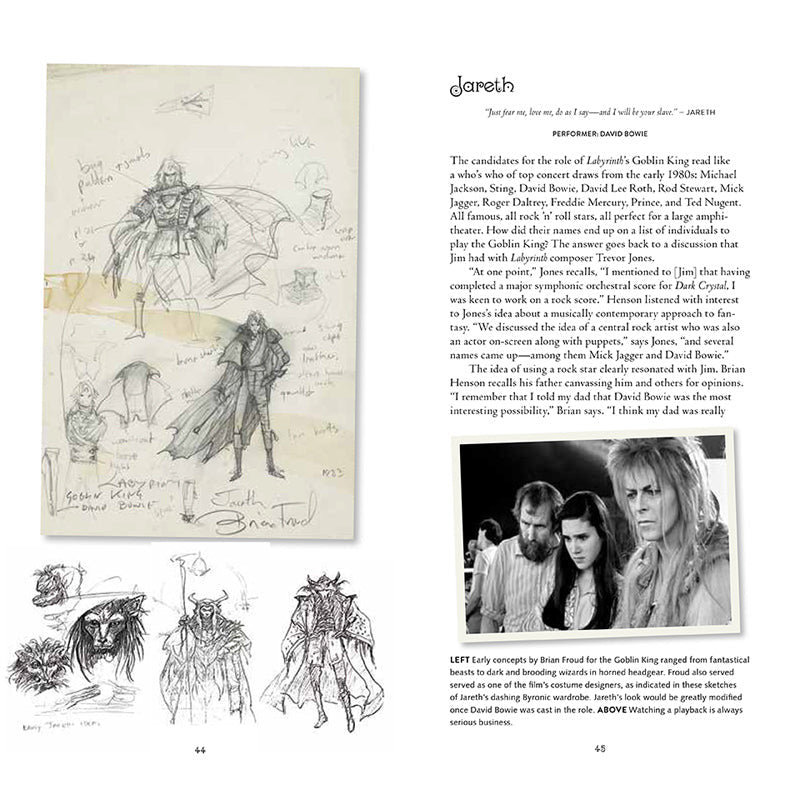 Labyrinth: VHS Edition inside page 3