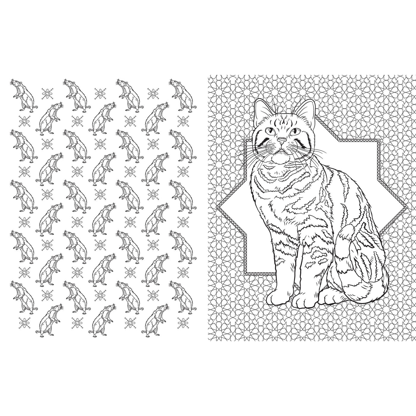 Harry Potter: Magical Creatures Coloring Book inside page 2