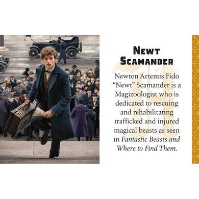 Harry Potter: Hufflepuff [TINY BOOK] inside page 7