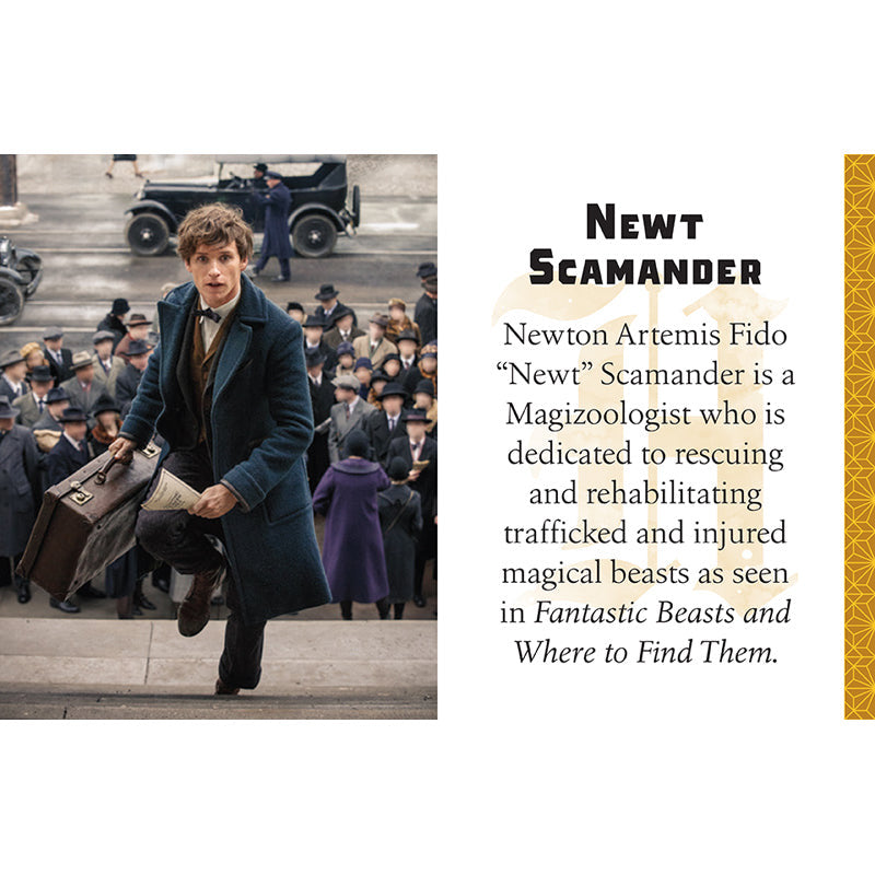 Harry Potter: Hufflepuff [TINY BOOK] inside page 7