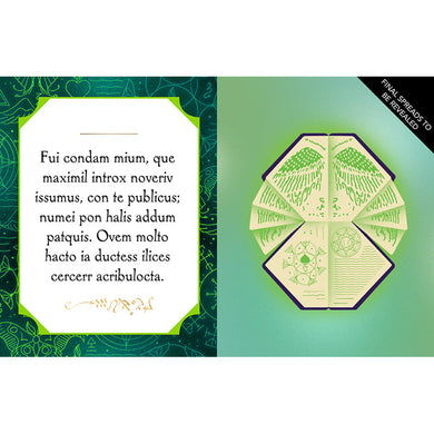 Wicked: Elphaba inside page 5
