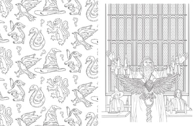 Harry Potter: An Official Hogwarts Coloring Book inside page 4