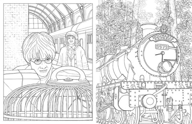 Harry Potter: Travels Through the Wizarding World inside page 1