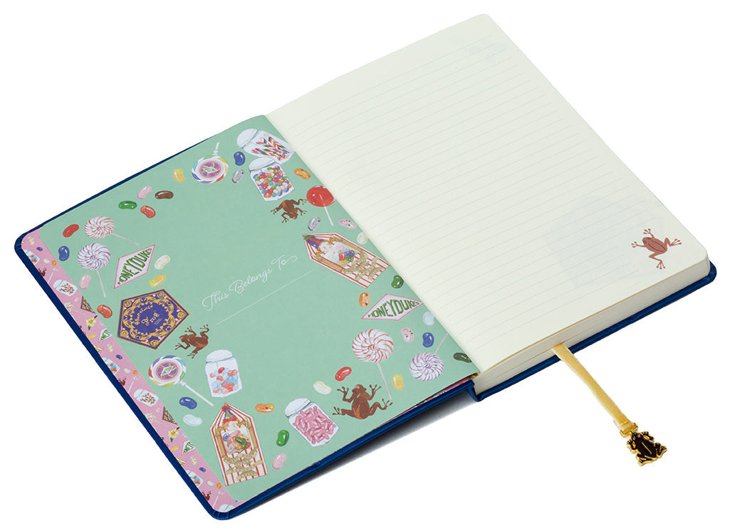 Harry Potter: Chocolate Frog Journal with Ribbon Charm inside page 2