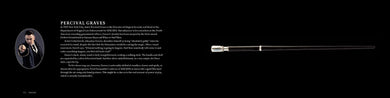 Harry Potter and Fantastic Beasts: The Wands of the Wizarding World inside page 3