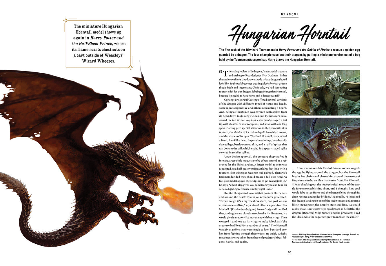 Harry Potter: Creatures of the Wizarding World inside page 3