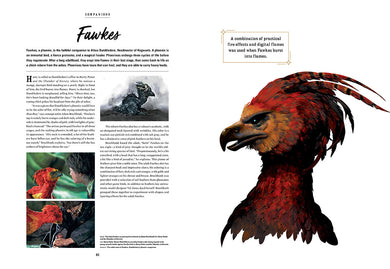 Harry Potter: Creatures of the Wizarding World inside page 4